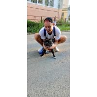 Александр Лобода