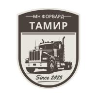 tamirmnforward